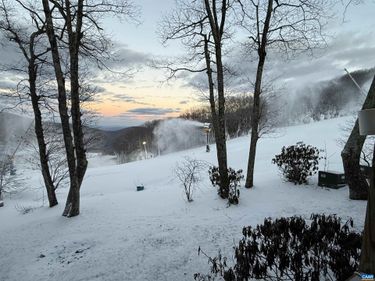 108 EAGLES CT CONDOS, Wintergreen Resort, VA 22967