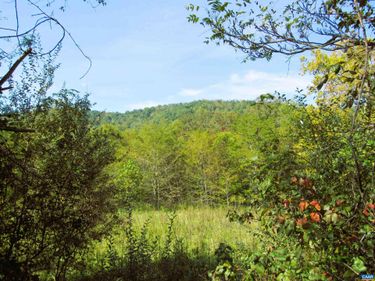 FORTUNES COVE LN , Lovingston, VA 22949
