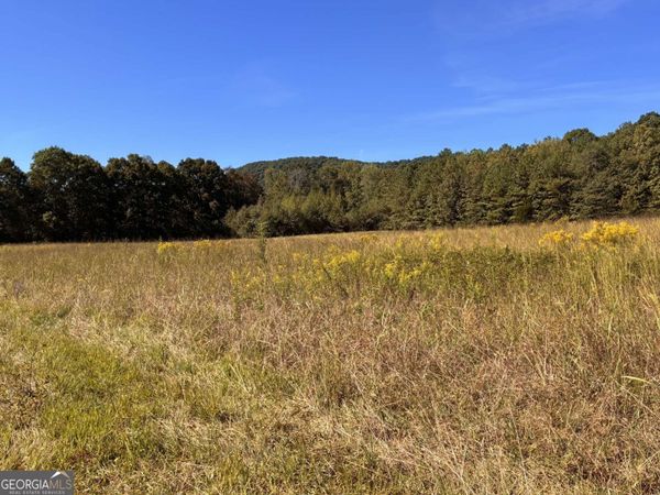 36.55 ACRES Back Valley Road, Lyerly, GA 30730