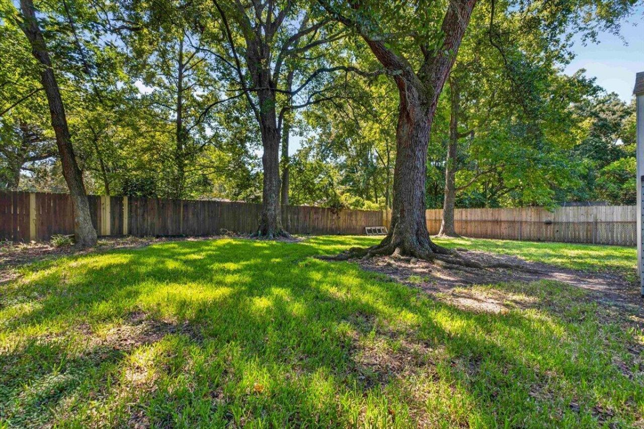 1167 Sherwood Street Photo 28