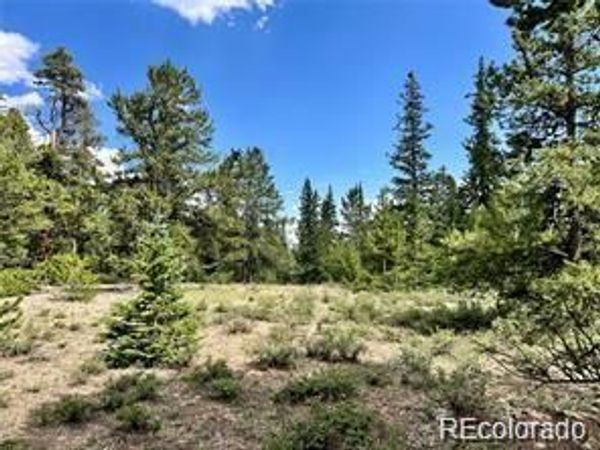 76 Ute Way, Fairplay, CO 80440
