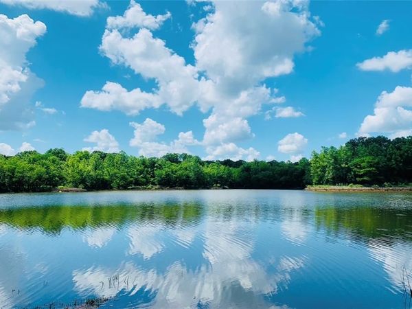 451 NE 151 Road, Osceola, MO 64776
