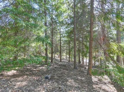 4630 Rosarno, Foresthill, CA 95631 Photo