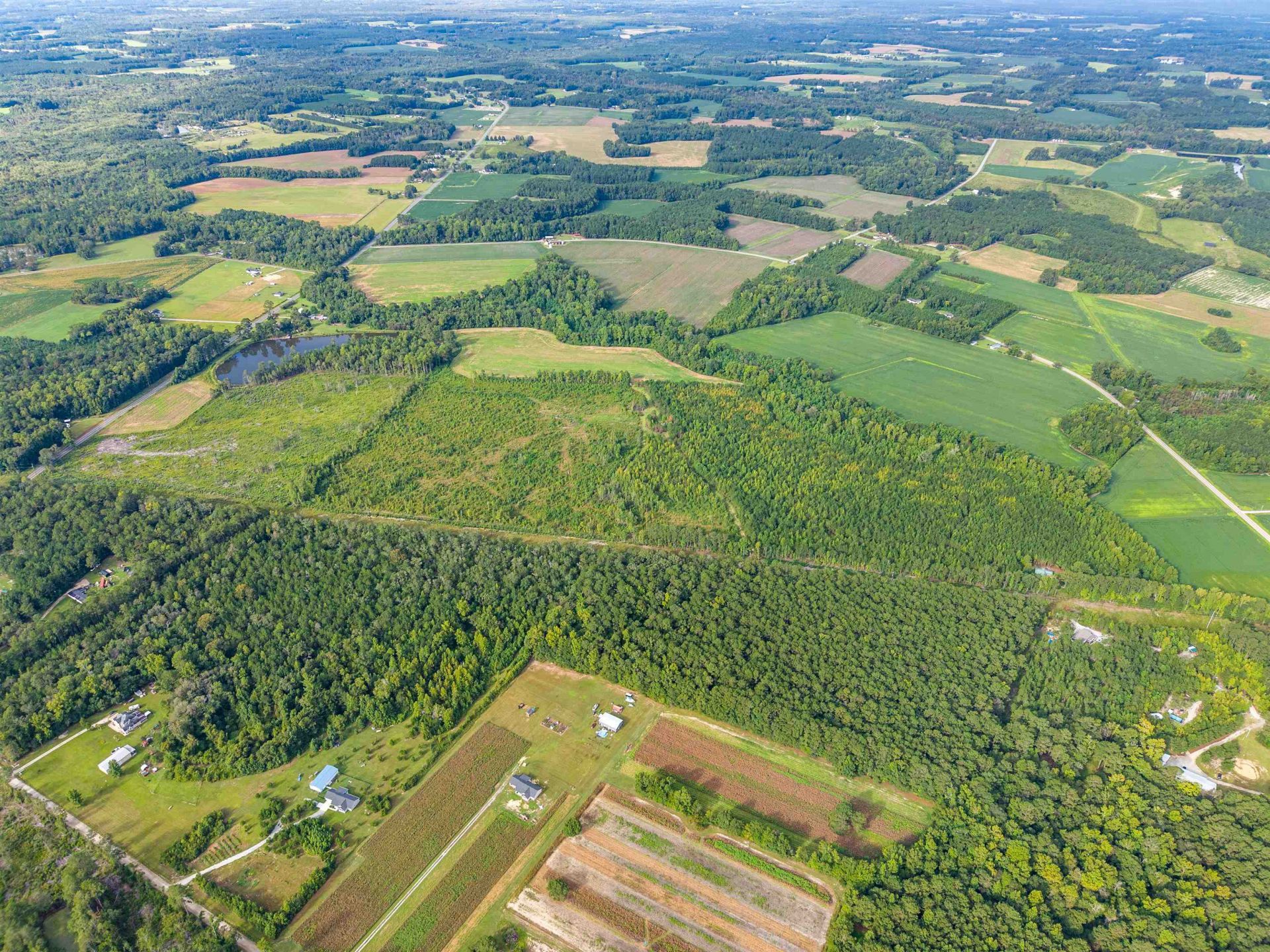 Tbd Green Sea Rd.  Photo 4