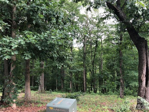 45 Sweet Fern Parkway , Asheville, NC 28804