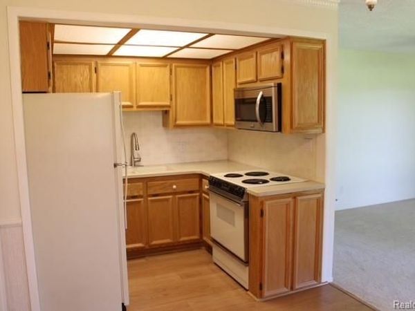 27094 Sandy Hill Ln , Unit 24, Lyon Township, Mi 48165