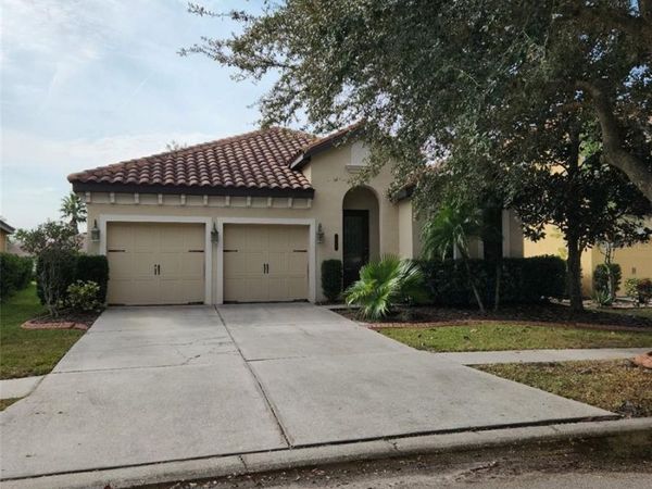 20311 CHESTNUT GROVE DRIVE , TAMPA, FL 33647