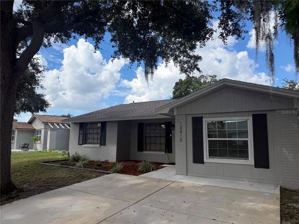 12418 QUEENSLAND LANE , TAMPA, FL 33625