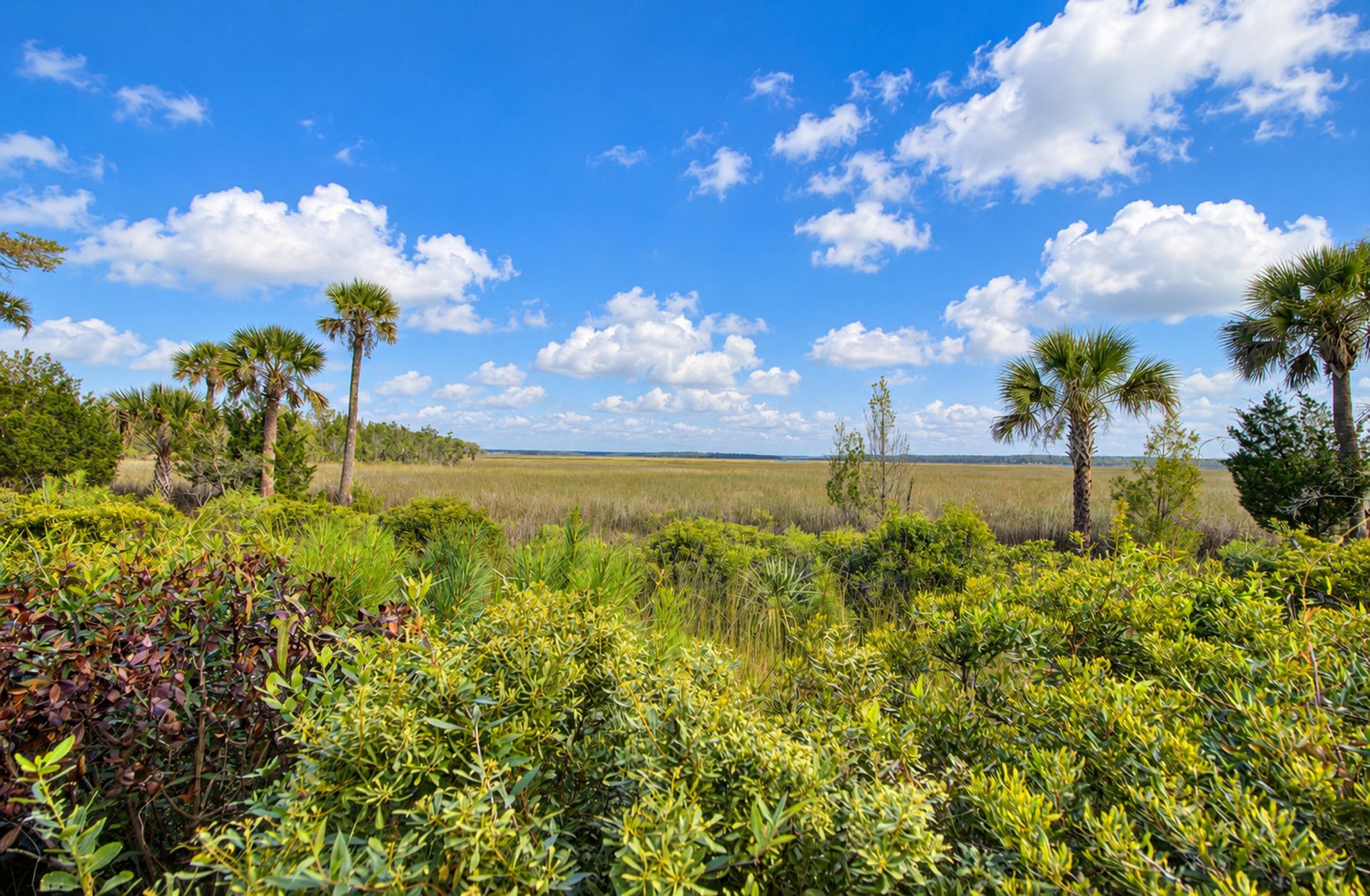 1476 Cat Island Parkway Photo 64