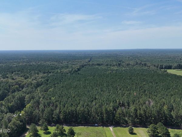 Davis Road, Morton, MS 39117