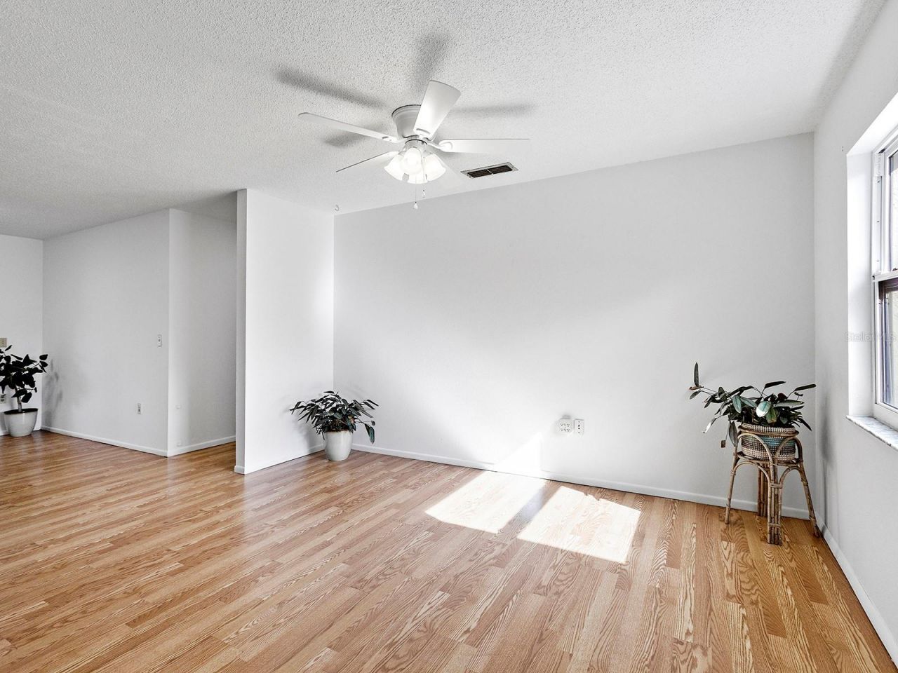 4260 Bell Avenue, Sarasota, FL 34231 Photo