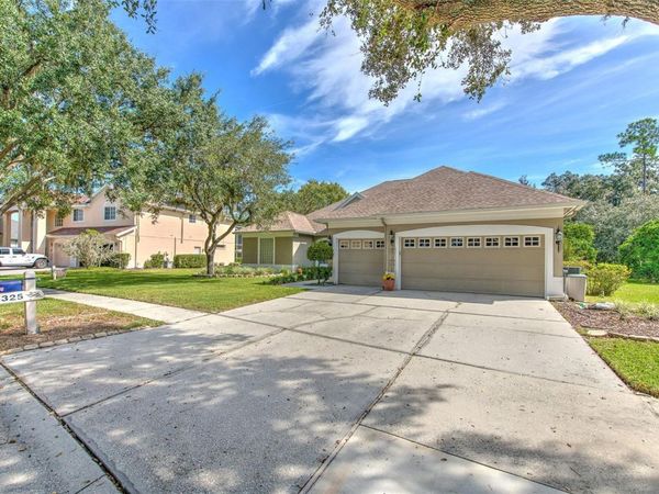 3325 CYPRESS LANDING DRIVE , VALRICO, FL 33596