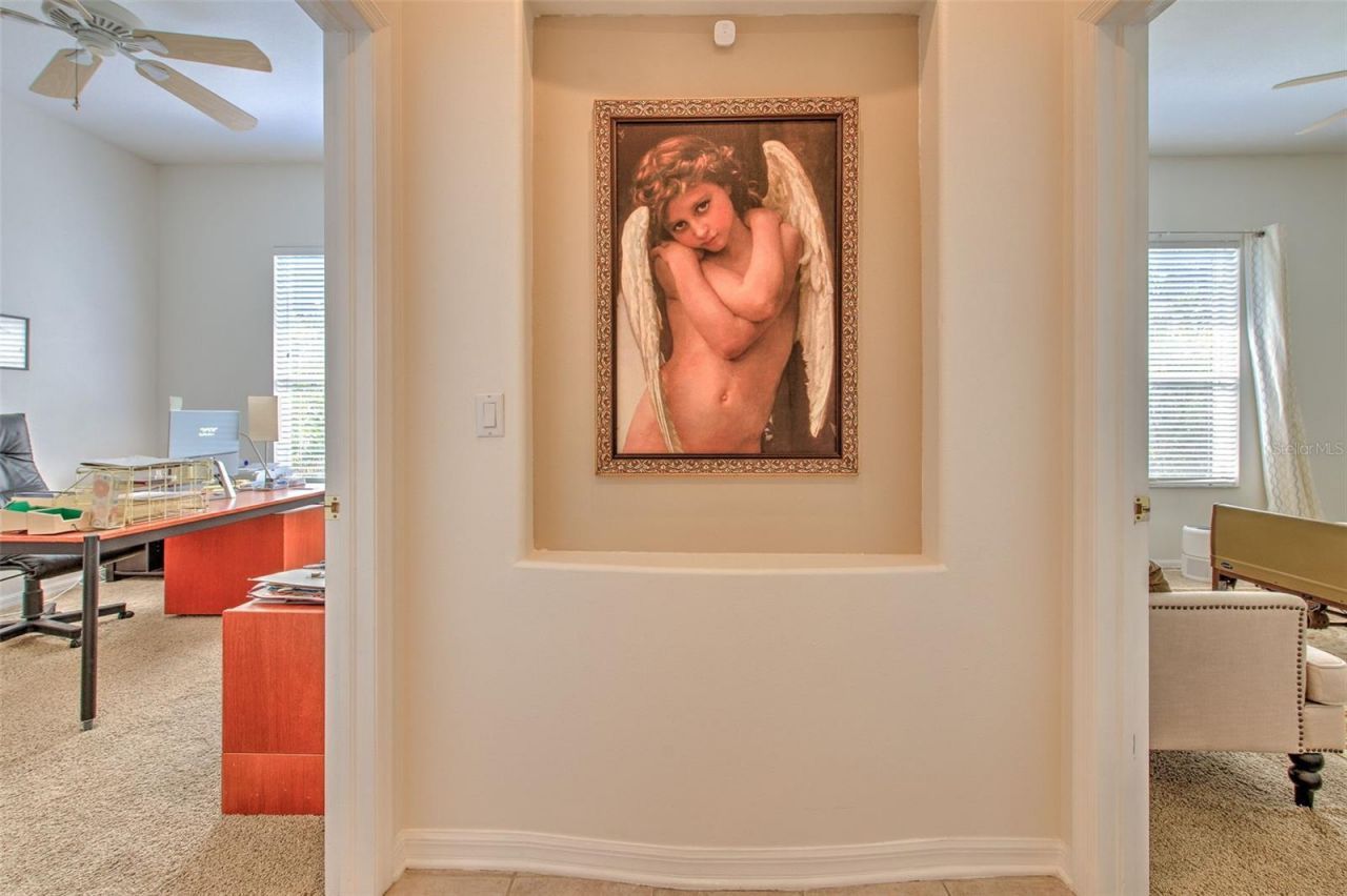 3325 Cypress Landing Drive, Valrico, FL 33596 Photo
