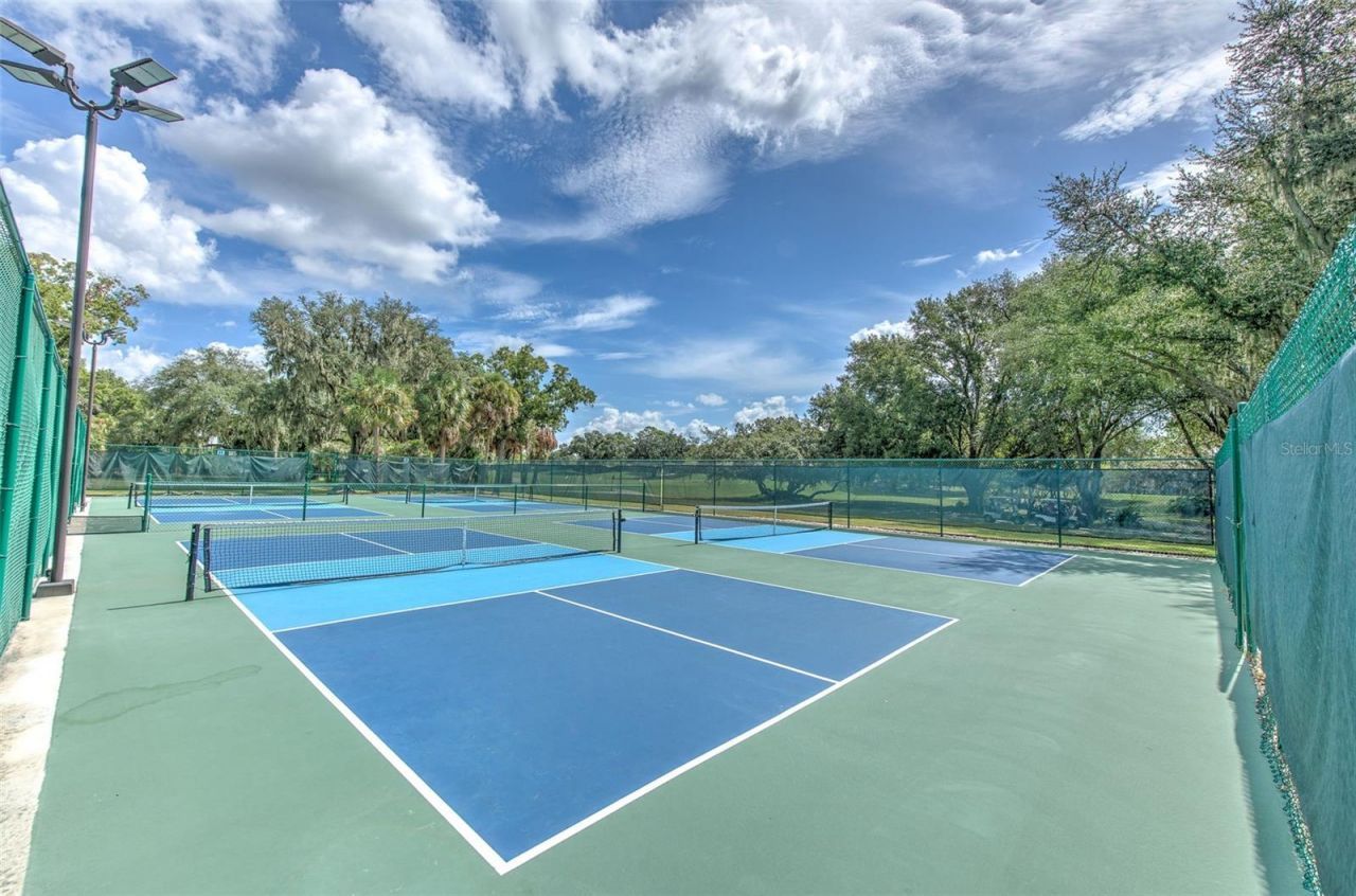 3325 Cypress Landing Drive, Valrico, FL 33596 Photo
