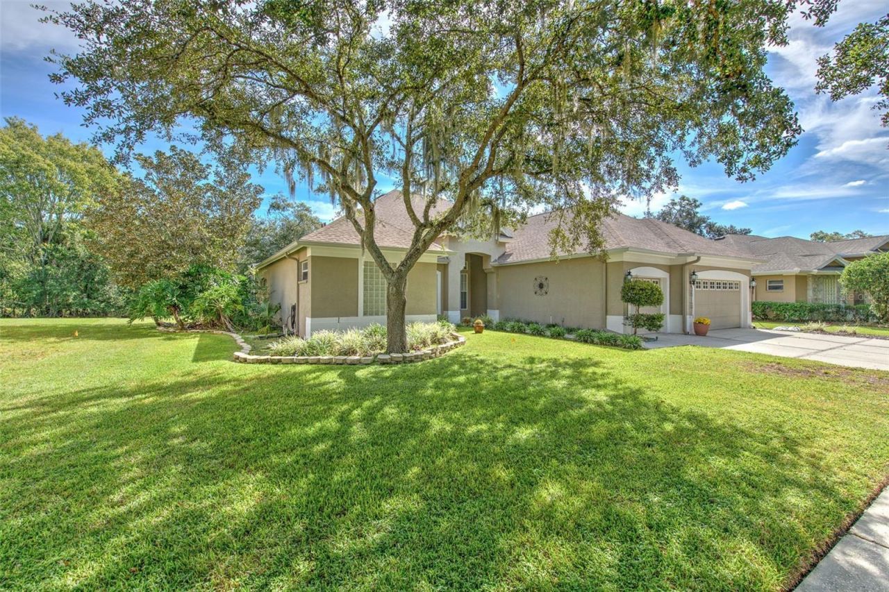 3325 Cypress Landing Drive, Valrico, FL 33596 Photo