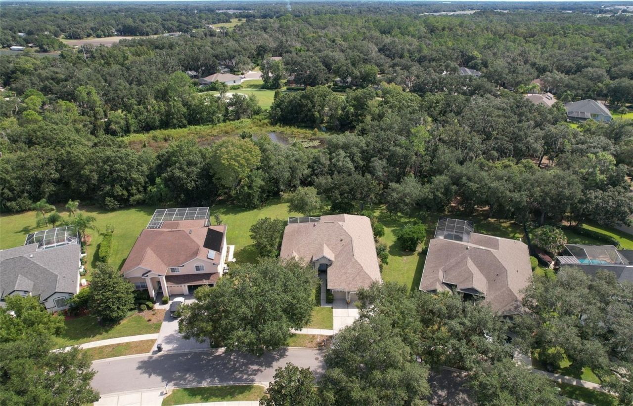 3325 Cypress Landing Drive, Valrico, FL 33596 Photo
