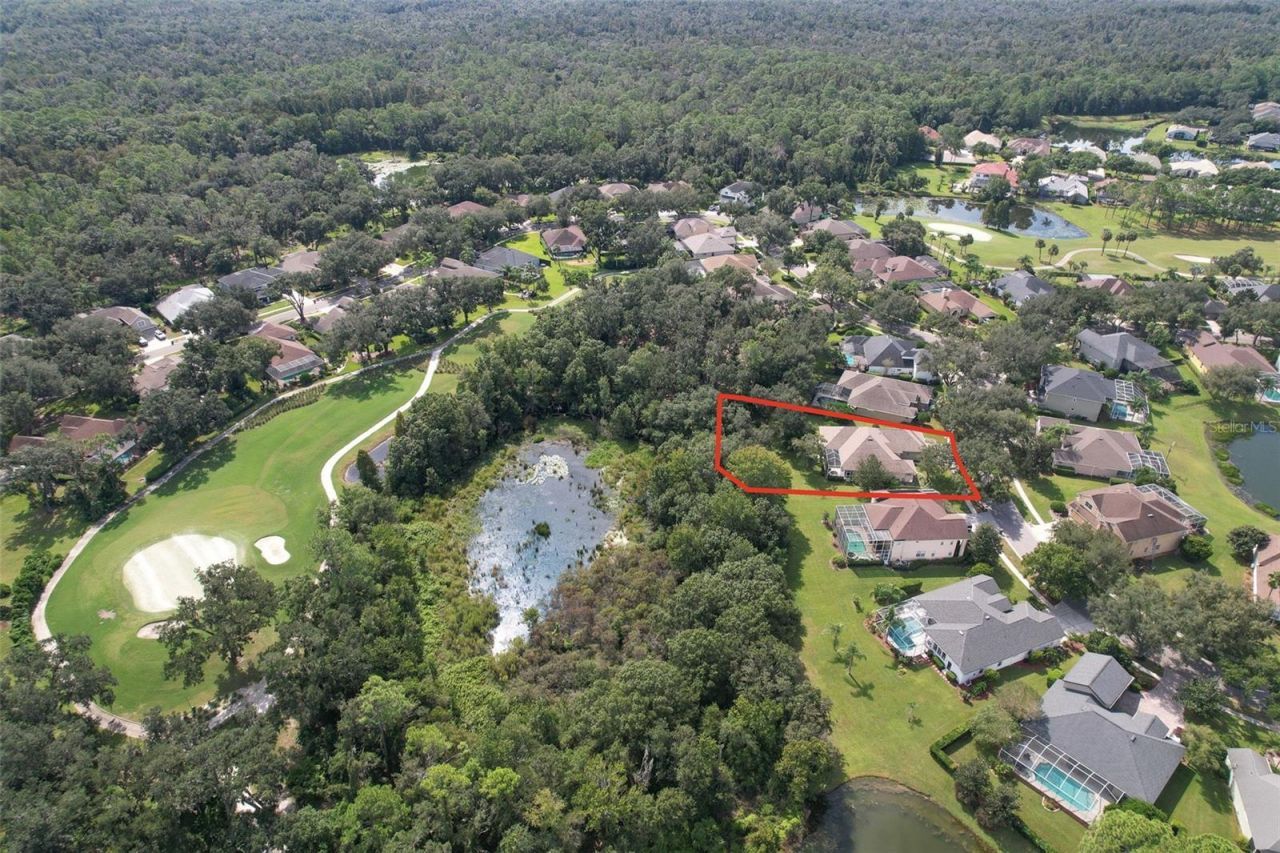 3325 Cypress Landing Drive, Valrico, FL 33596 Photo
