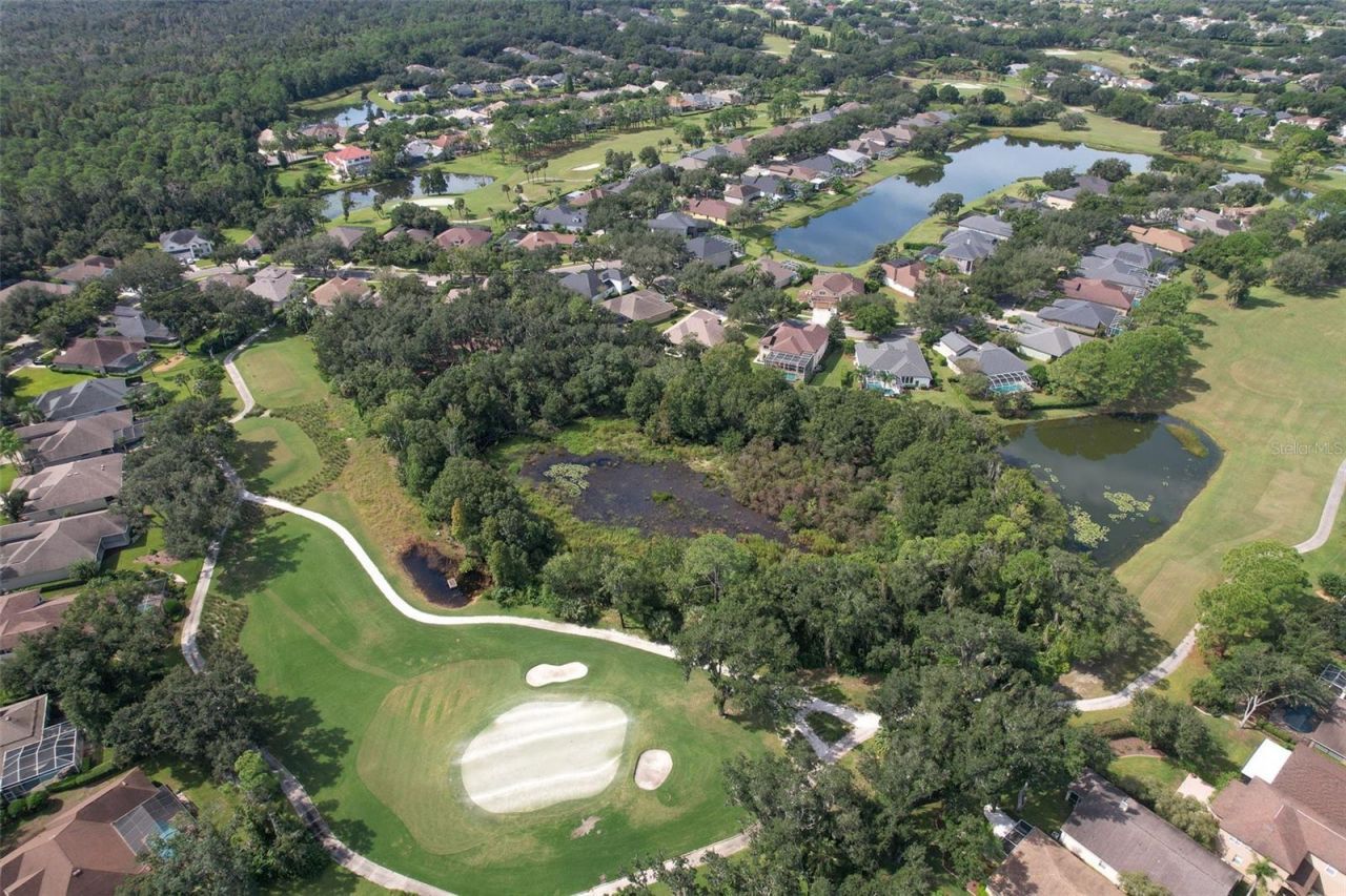 3325 Cypress Landing Drive, Valrico, FL 33596 Photo