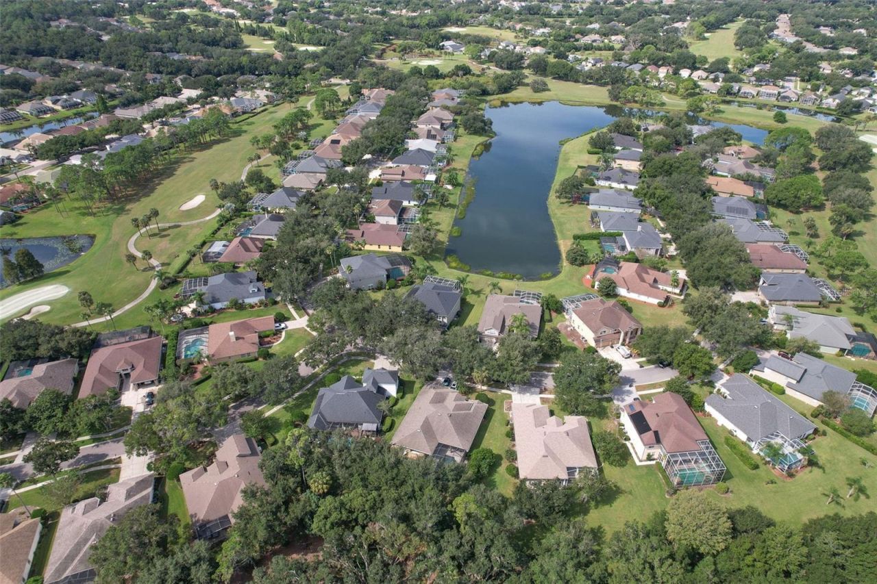 3325 Cypress Landing Drive, Valrico, FL 33596 Photo