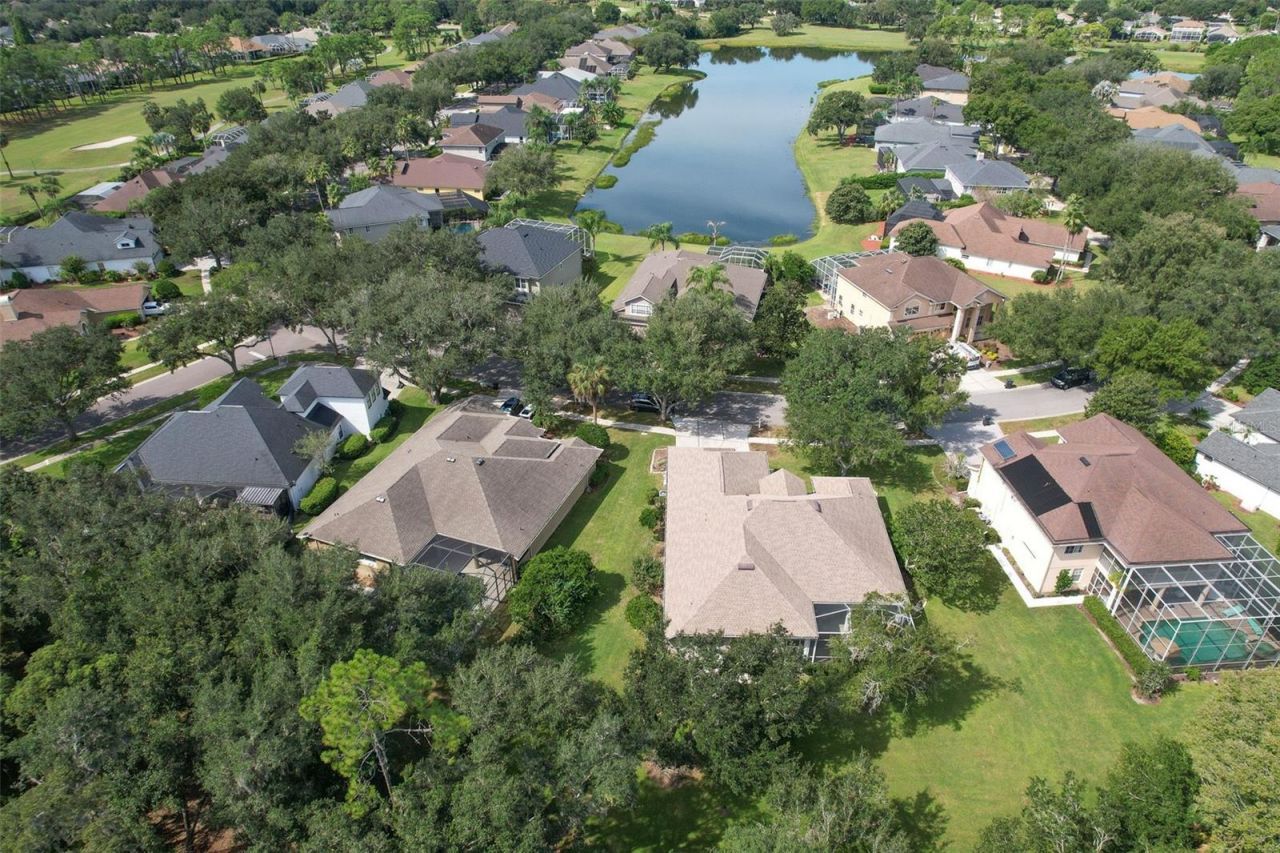 3325 Cypress Landing Drive, Valrico, FL 33596 Photo