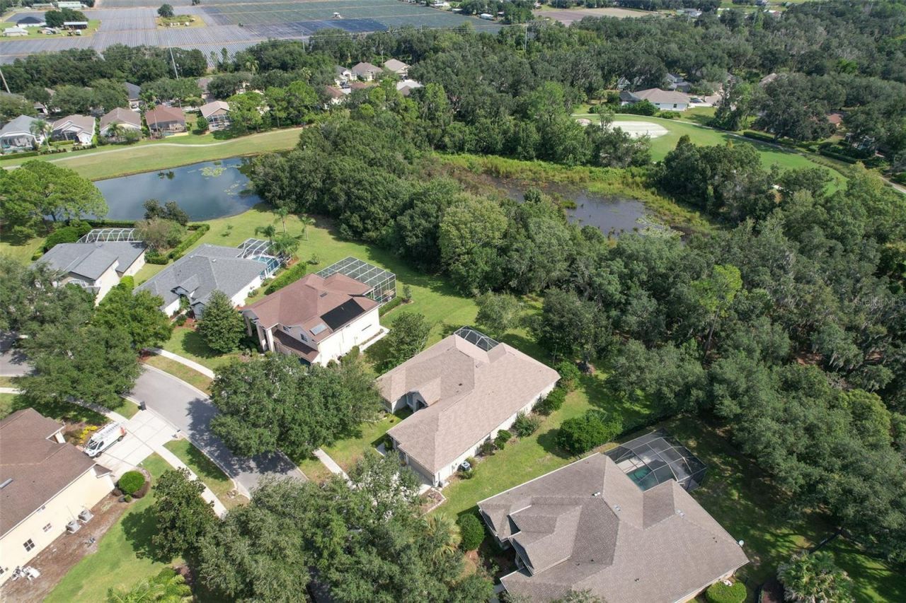 3325 Cypress Landing Drive, Valrico, FL 33596 Photo