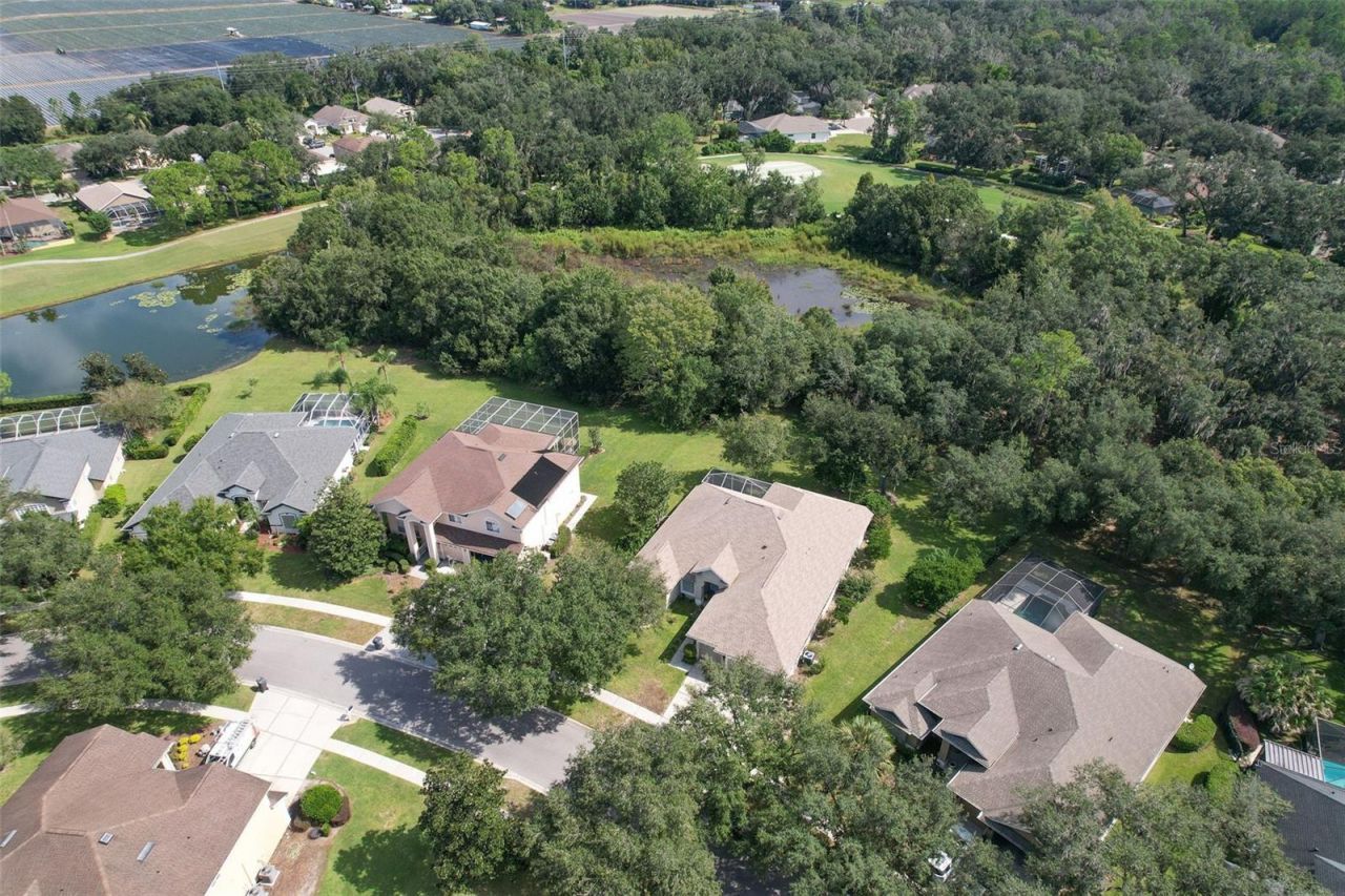 3325 Cypress Landing Drive, Valrico, FL 33596 Photo