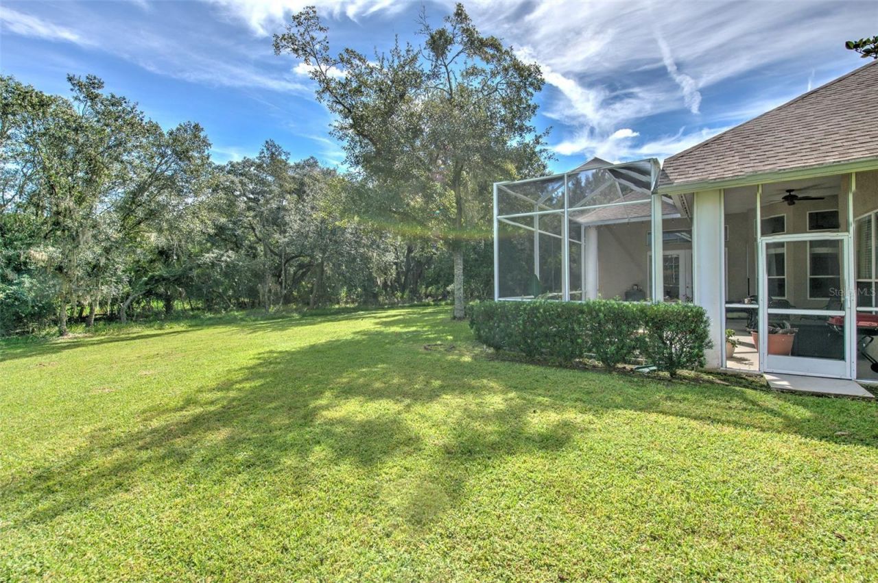 3325 Cypress Landing Drive, Valrico, FL 33596 Photo