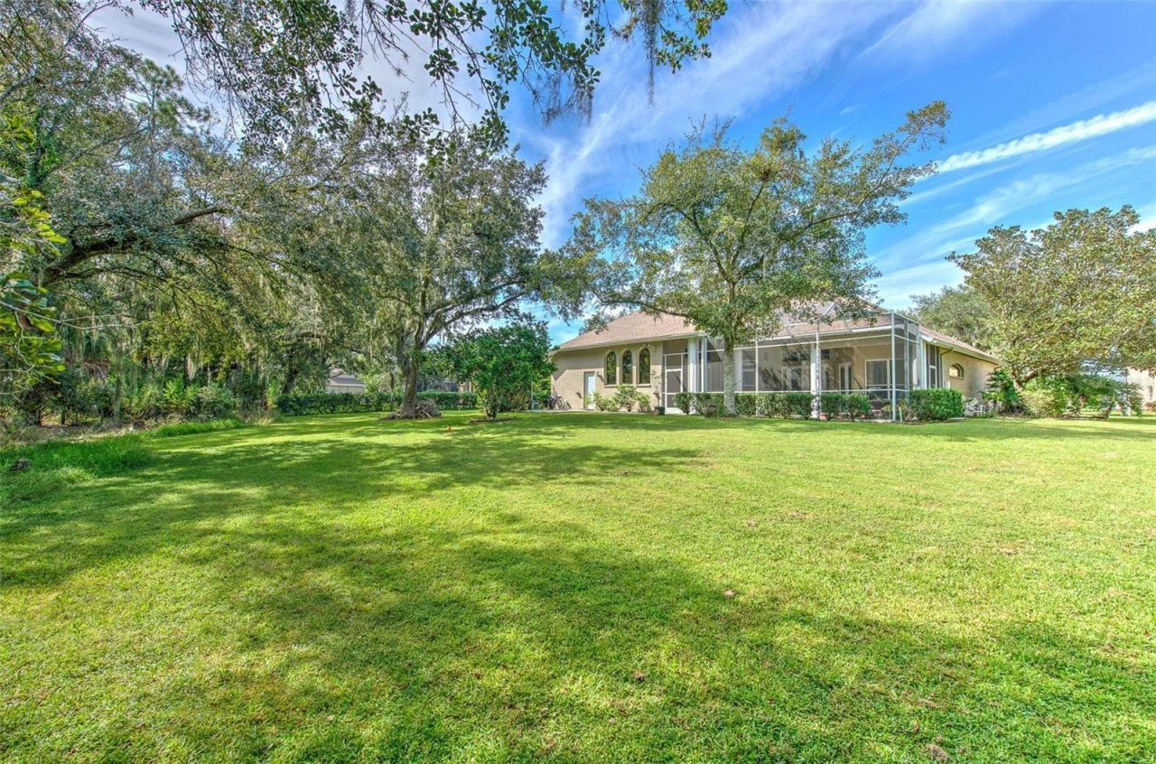 3325 Cypress Landing Drive, Valrico, FL 33596 Photo