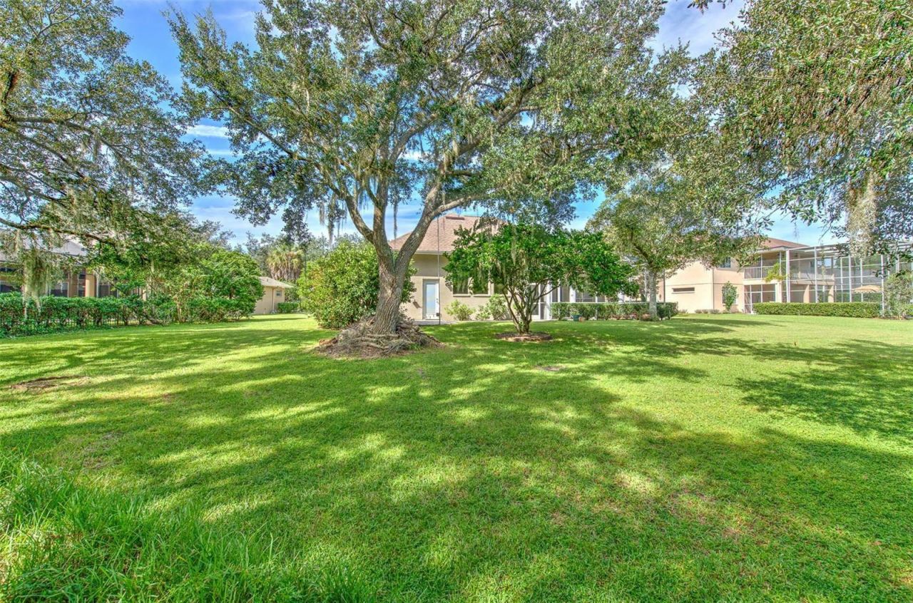 3325 Cypress Landing Drive, Valrico, FL 33596 Photo