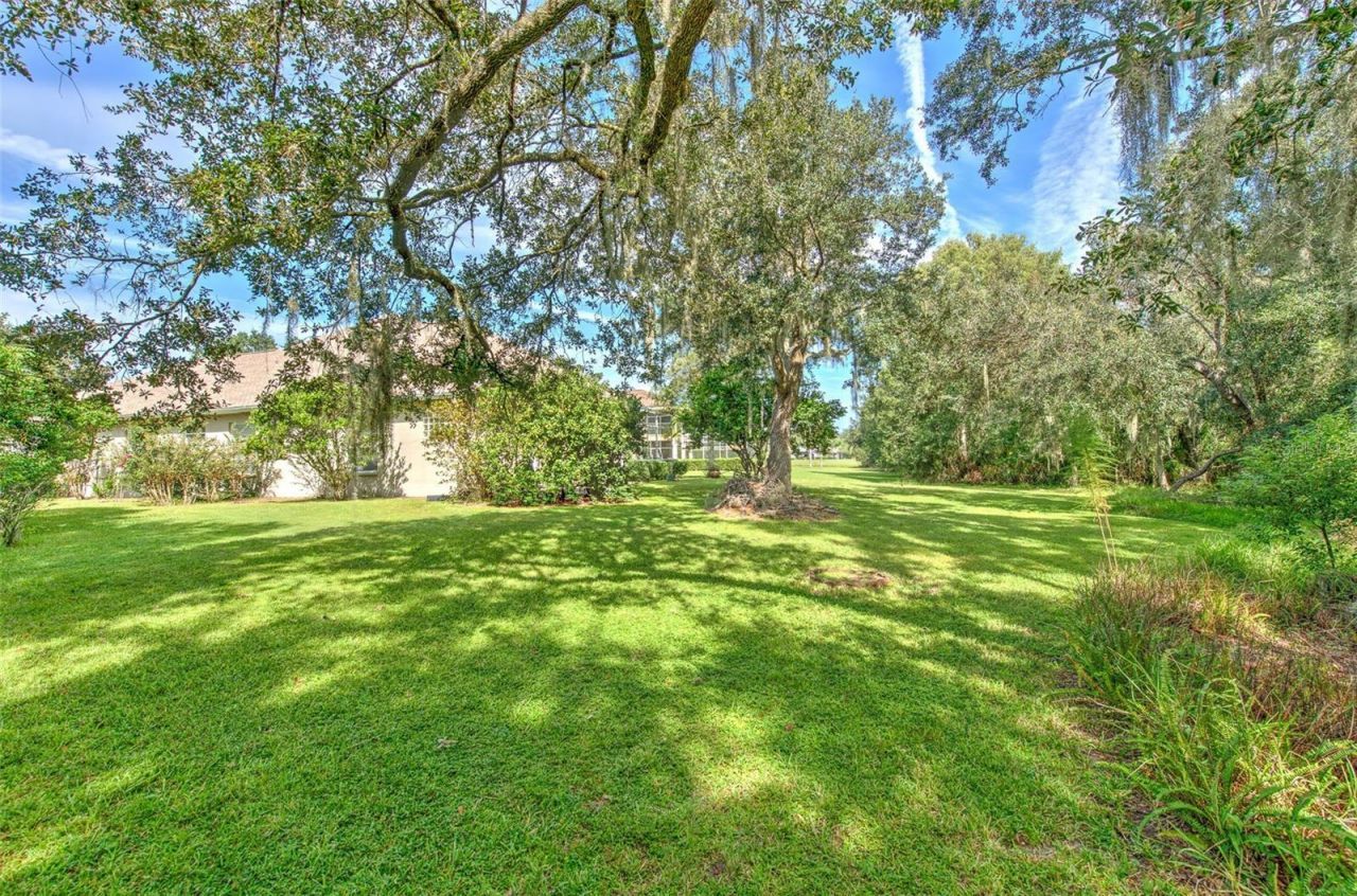 3325 Cypress Landing Drive, Valrico, FL 33596 Photo