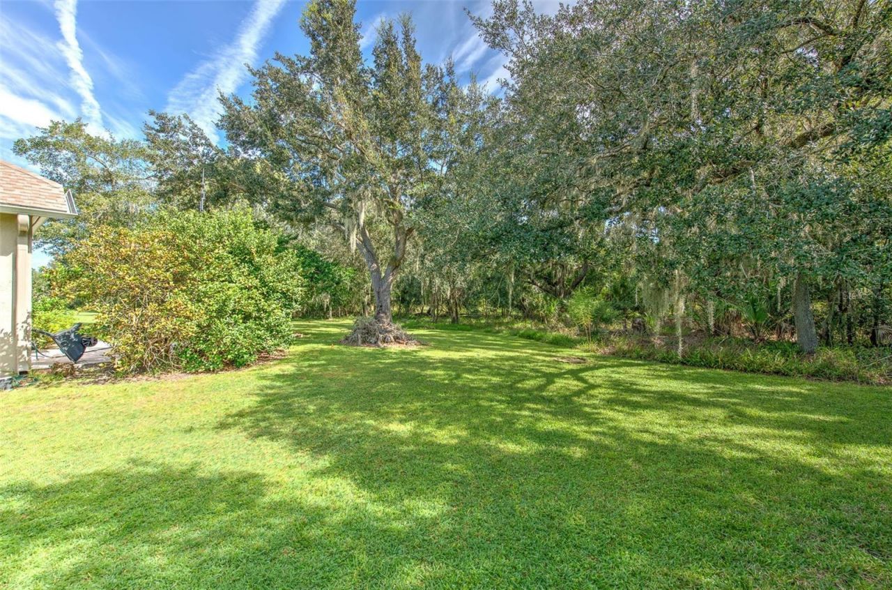 3325 Cypress Landing Drive, Valrico, FL 33596 Photo