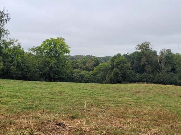 1 Haley Rd , Unit 1, College Grove, TN 37046