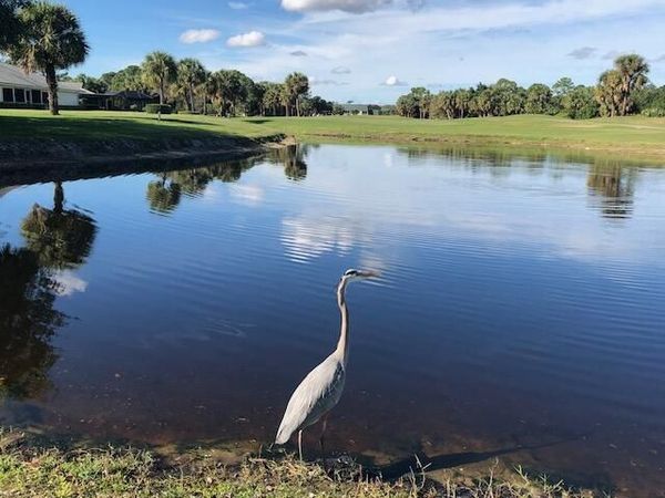 4225 Gator Trace Avenue, Fort Pierce, FL 34982