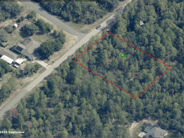 7295 N Hazelwood Drive, Citrus Springs, FL 34433