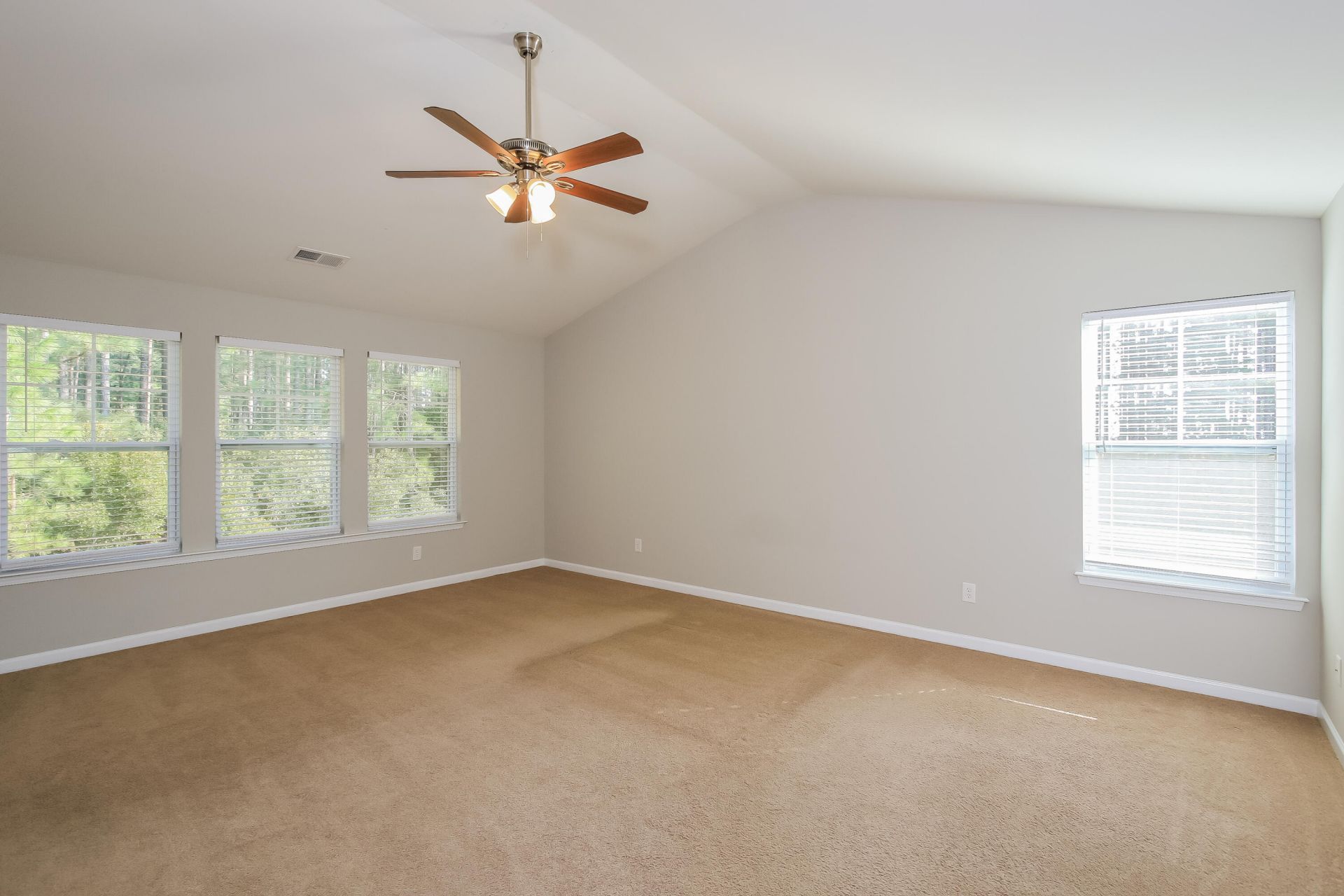 110 Swiftwater Way Photo 15