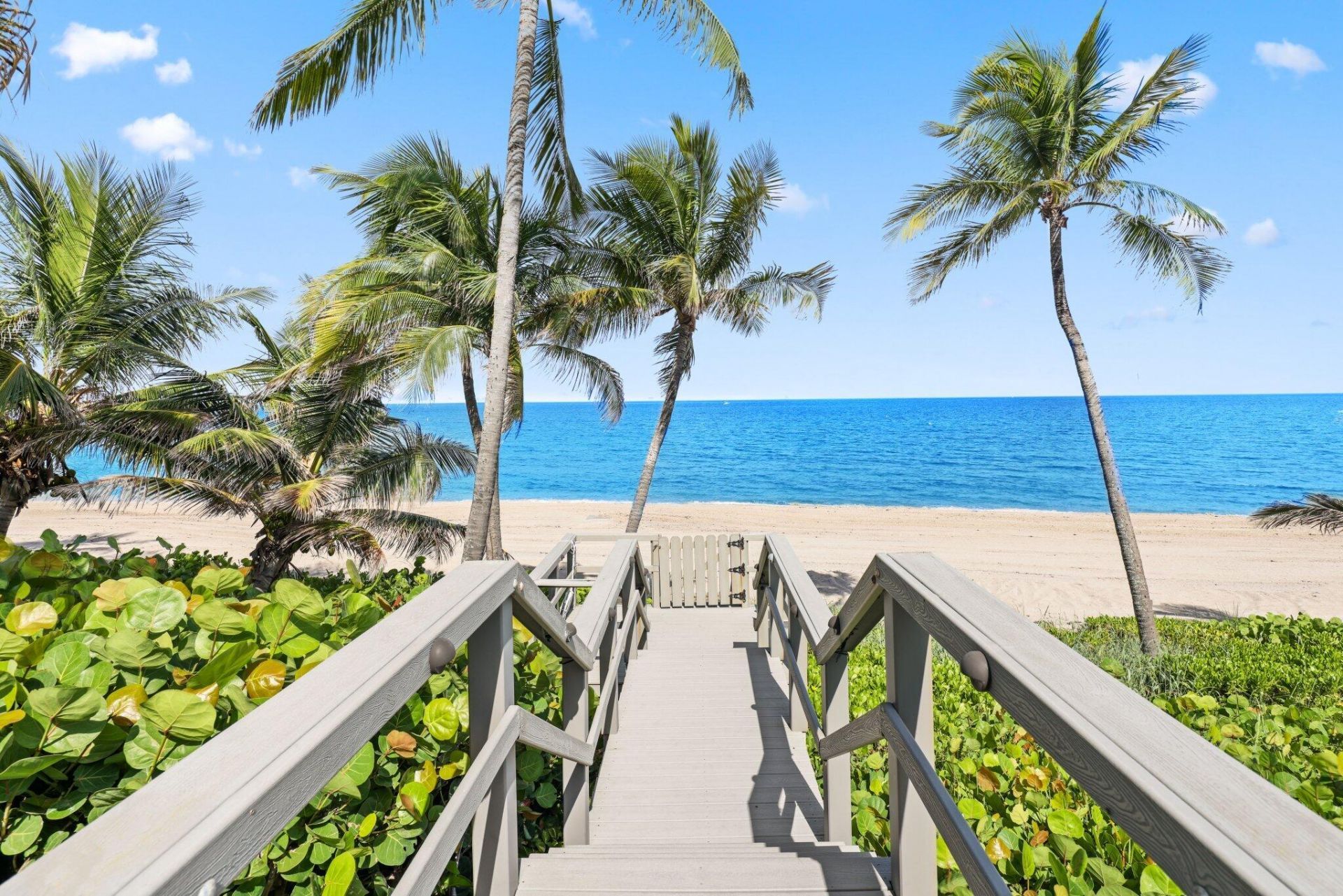 1001 Hillsboro Mile, Hillsboro Beach, FL 33062 Photo