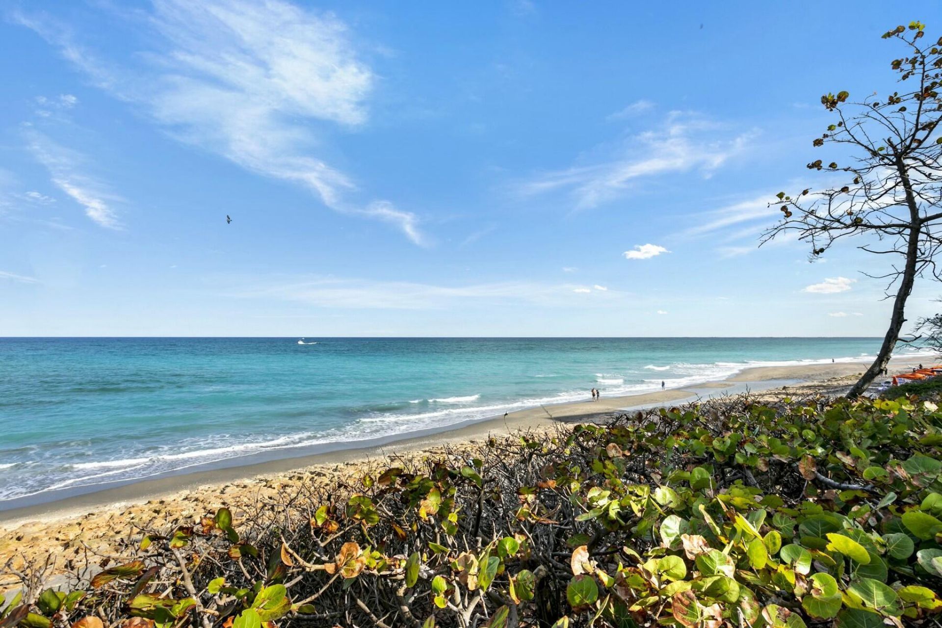 500 Ocean Trail Way, Unit 304, Jupiter, FL 33477 Photo