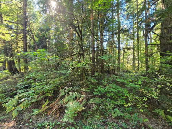 1655144006700, McKenzie Bridge, OR 97413