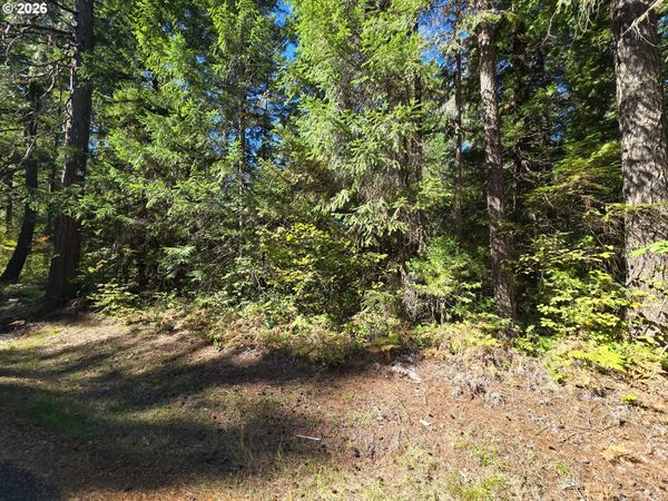 1655231000900, McKenzie Bridge, OR 97413