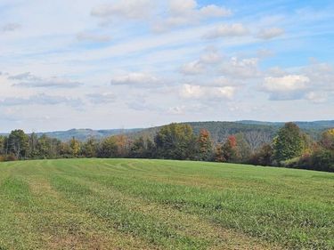 Learn Road, Cameron Mills, NY 14820