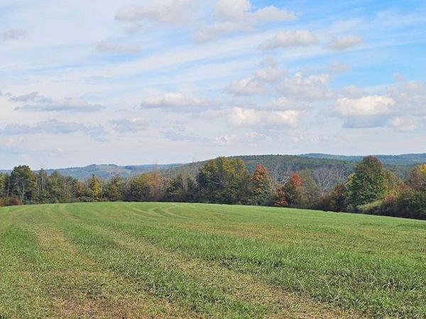 Learn Road, Cameron Mills, NY 14820