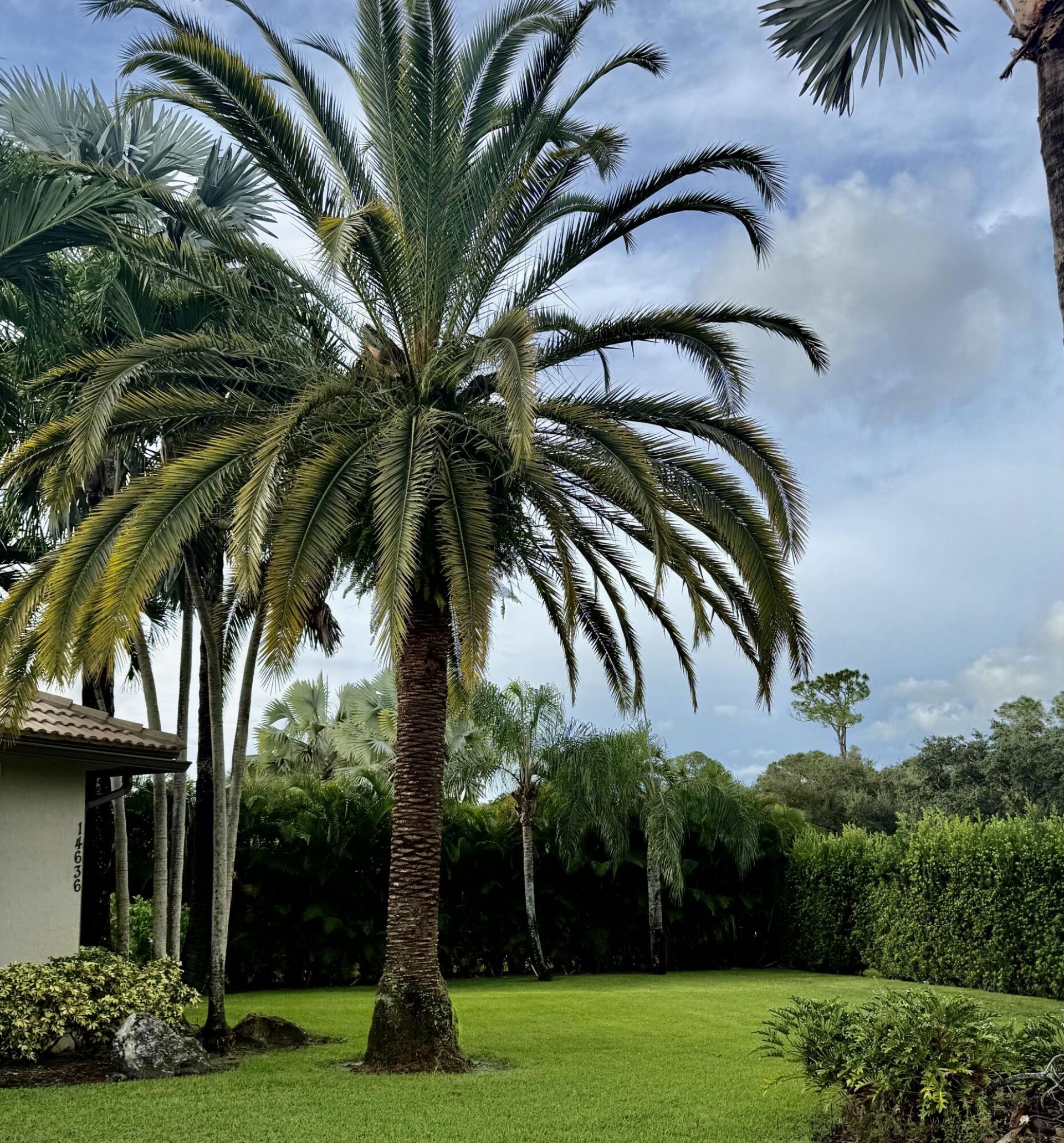 14636 Stirrup Lane, Wellington, FL 33414 Photo