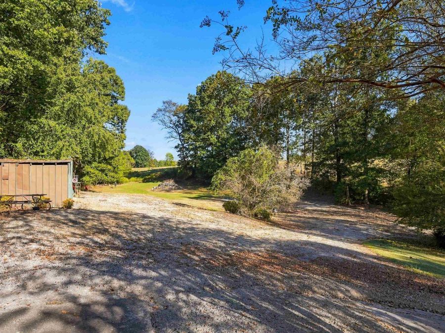 Property Image 44
