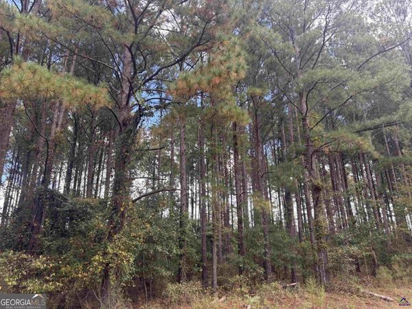 LOT 5 & 6 Limestone Landing, Cochran, GA 31014