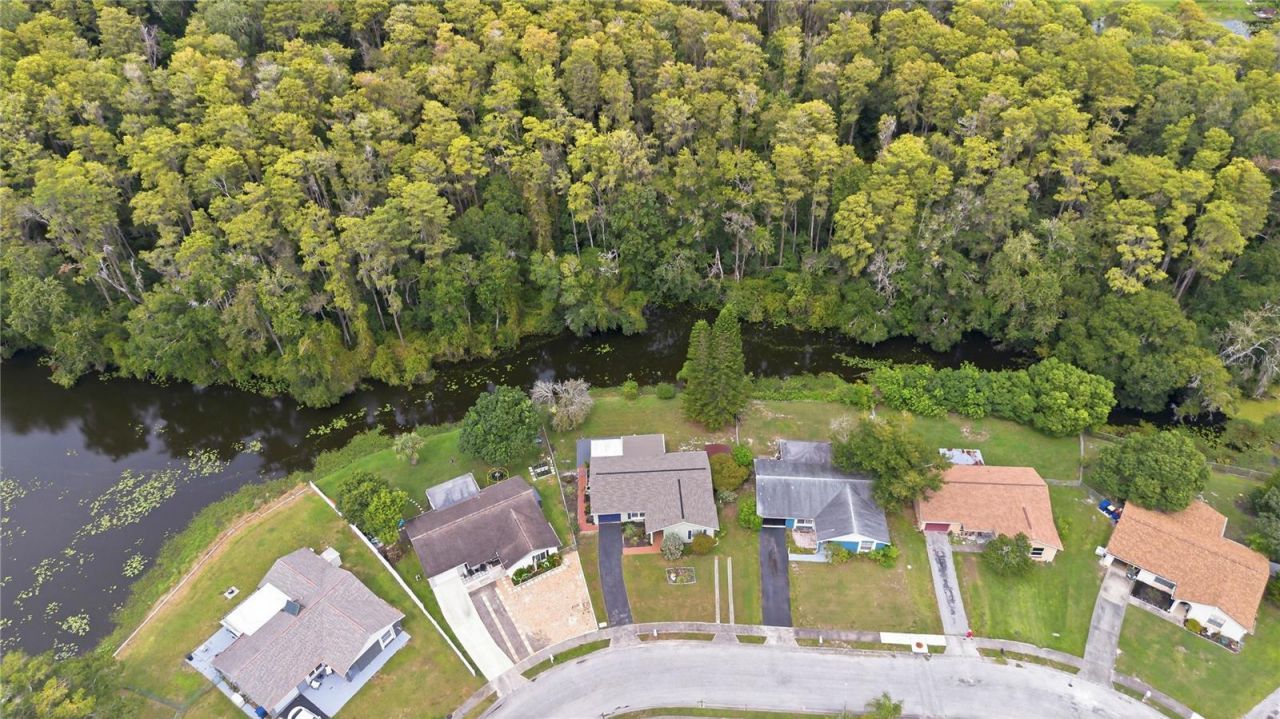 3431 Van Nuys Loop , New Port Richey, FL 34655 Photo