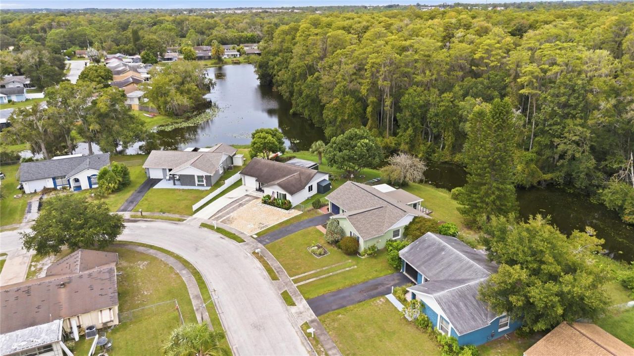 3431 Van Nuys Loop , New Port Richey, FL 34655 Photo