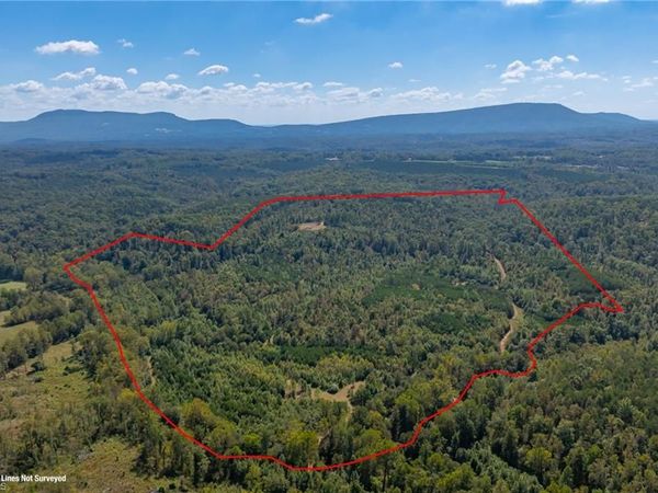 0 Wright Road, Westfield, NC 27053
