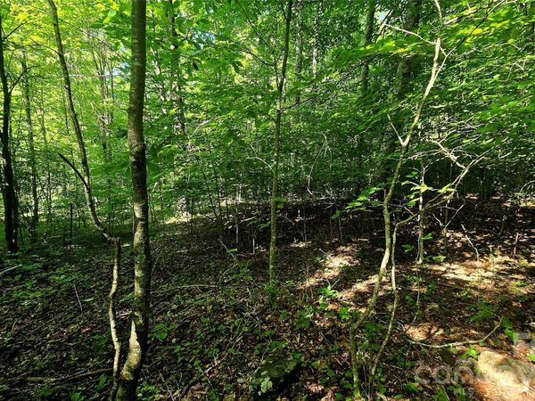 Lot 11 Elk Creek Mountain Parkway , Todd, NC 28684
