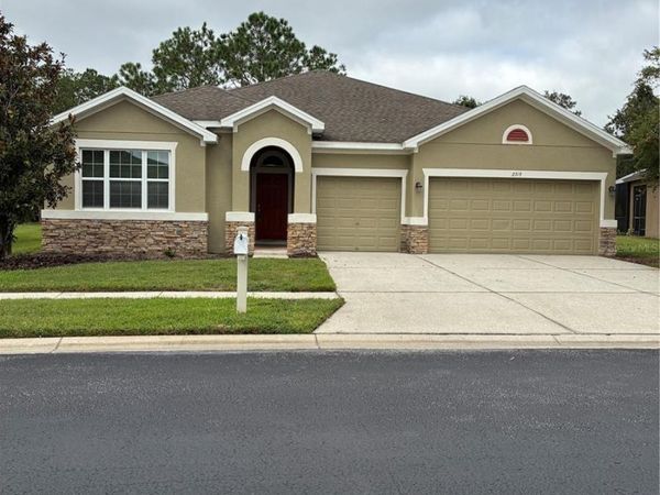 2319 NESSLEWOOD DR , WESLEY CHAPEL, FL 33543