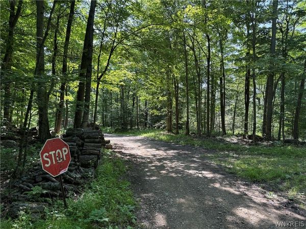 Salt Rising Road, Bolivar, NY 14715